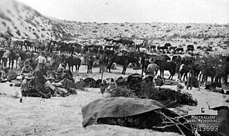 Battle of Romani: Allied Victory Secures Suez Canal, August 5, 1916
