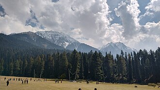 Pahalgam Terrorist Attack Kills 26 Tourists, TRF Claims Responsibility April 22, 2025