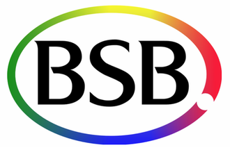 British Satellite Broadcasting and Sky Television Merge to Form BSkyB, November 2, 1990