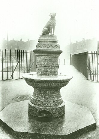 Brown Dog Riots in London: Medical Students Clash with Police, December 10, 1907