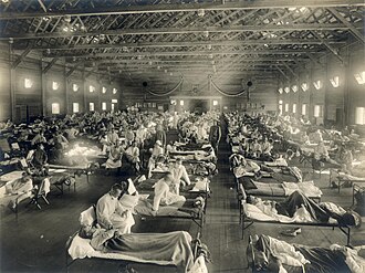 1918 Influenza Epidemic Hits Western Samoa, Killing 7,542 – November 7, 1918