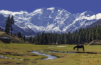 Nanga Parbat Base Camp Attack Kills 10 Climbers June 23, 2013