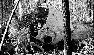 Flagship Airlines Flight 3379 Crashes Near Raleigh-Durham, 15 Killed, December 13, 1994