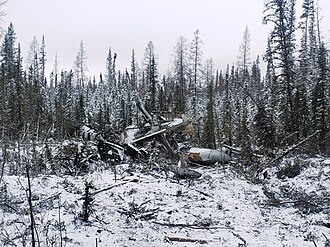 Northwestern Air Flight 738 Crashes After Takeoff, Killing Six – January 23, 2024