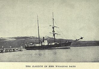 Karluk Sinks in Arctic Ice, Canadian Expedition Flagship, January 11, 1914