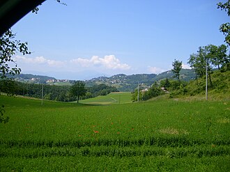 World War II: Montese, Italy Liberated from Nazi Forces, April 17, 1945