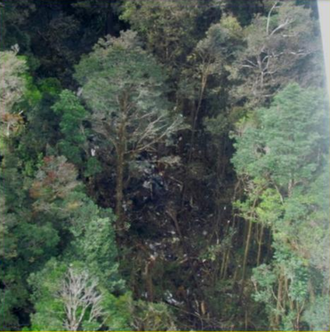 Trigana Air Flight 267 Crashes in Oksibil, 54 Killed August 16, 2015