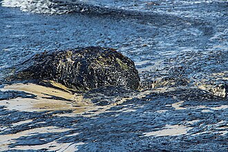 Refugio Oil Spill Dumps 142,800 Gallons on California Coast May 19, 2015