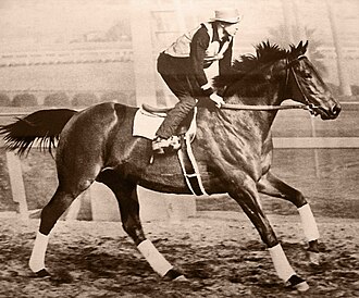 Seabiscuit Upsets War Admiral in Match of the Century, November 1, 1938