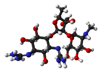 Streptomycin Isolated as First Tuberculosis Antibiotic, October 19, 1943