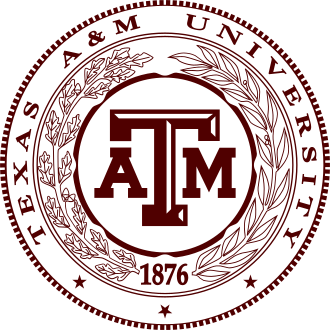 Texas A&M Aggie Bonfire Collapse Kills 12, Injures 27 – November 18, 1999
