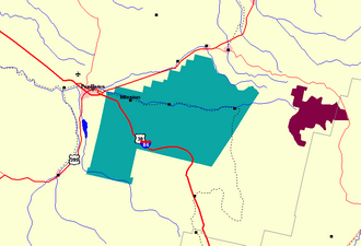 Umatilla Tribe Hunts Bison Outside Yellowstone, Restoring Treaty Tradition – February 13, 2011