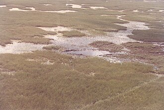 ValuJet Flight 592 Everglades Crash Kills 110 May 11, 1996