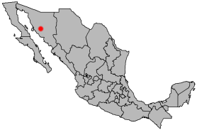 Hermosillo Day-Care Center Fire Kills 49 People June 5, 2009