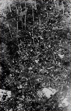 Turkish Airlines Flight 981 Crashes Near Paris, Kills 346 March 3, 1974